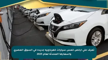 تعرف على أرخص خمس سيارات كهربائية جديدة في السوق المصري وأسعارها المحدثة لعام 2025
